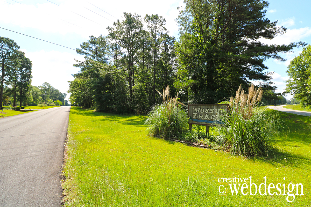 Mossy Lake Subdivision in Perry GA 31069